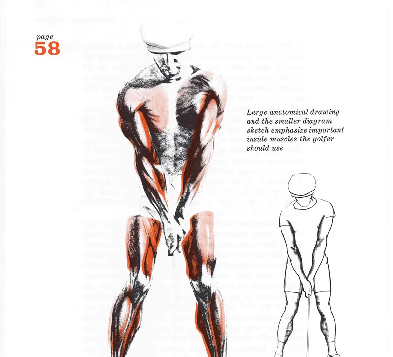 Early Extension — Ravielli-style illustration